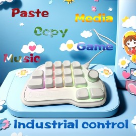 17-Key Keyboard with RGB Lighting, USB-C Wired Connection, Keys for Office, Gaming, PS, Programming - Efficient & Fast Operation, Gaming Setup, Tech Enthusiasts, Durable Build, Ergonomic Design, Sleek Design, Modern Aesthetic, Home Office Setup