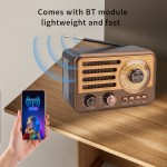 [Retro Portable Radio] Retro Portable Radio with Speaker, Supports FM/AM/SW, TF Card, USB, AUX Playback and LED Flashlight (HR-29BTL)
